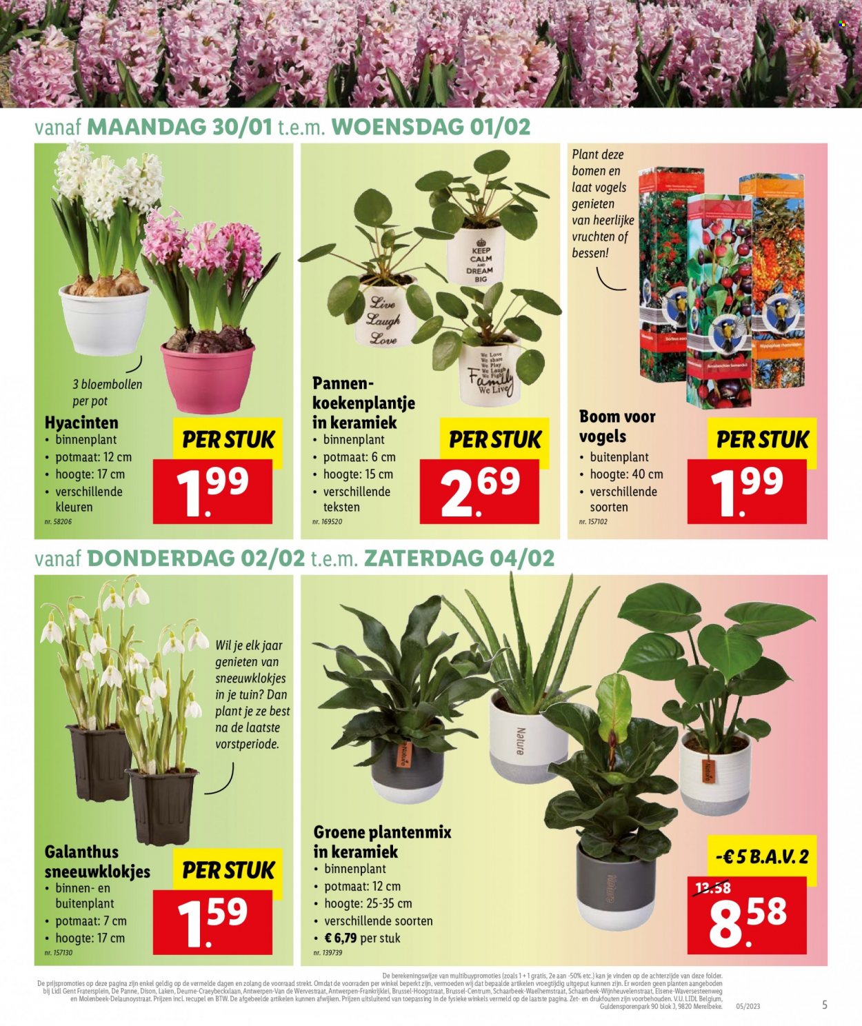 Catalogue Lidl - 30.1.2023 - 4.2.2023. Page 5.
