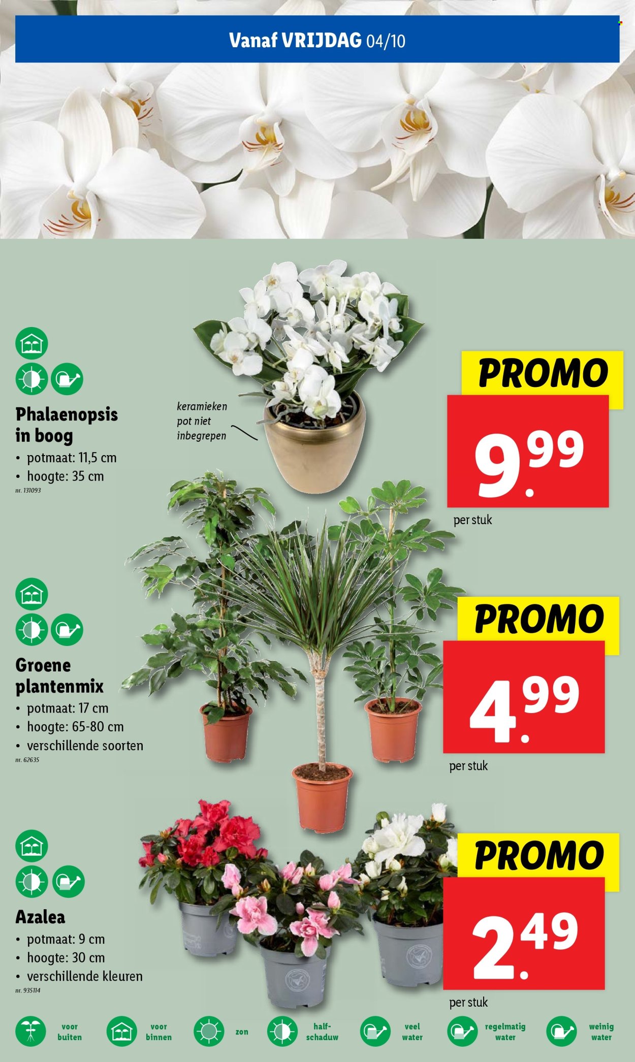 Lidl-aanbieding - 02/10/2024 - 08/10/2024. Pagina 25