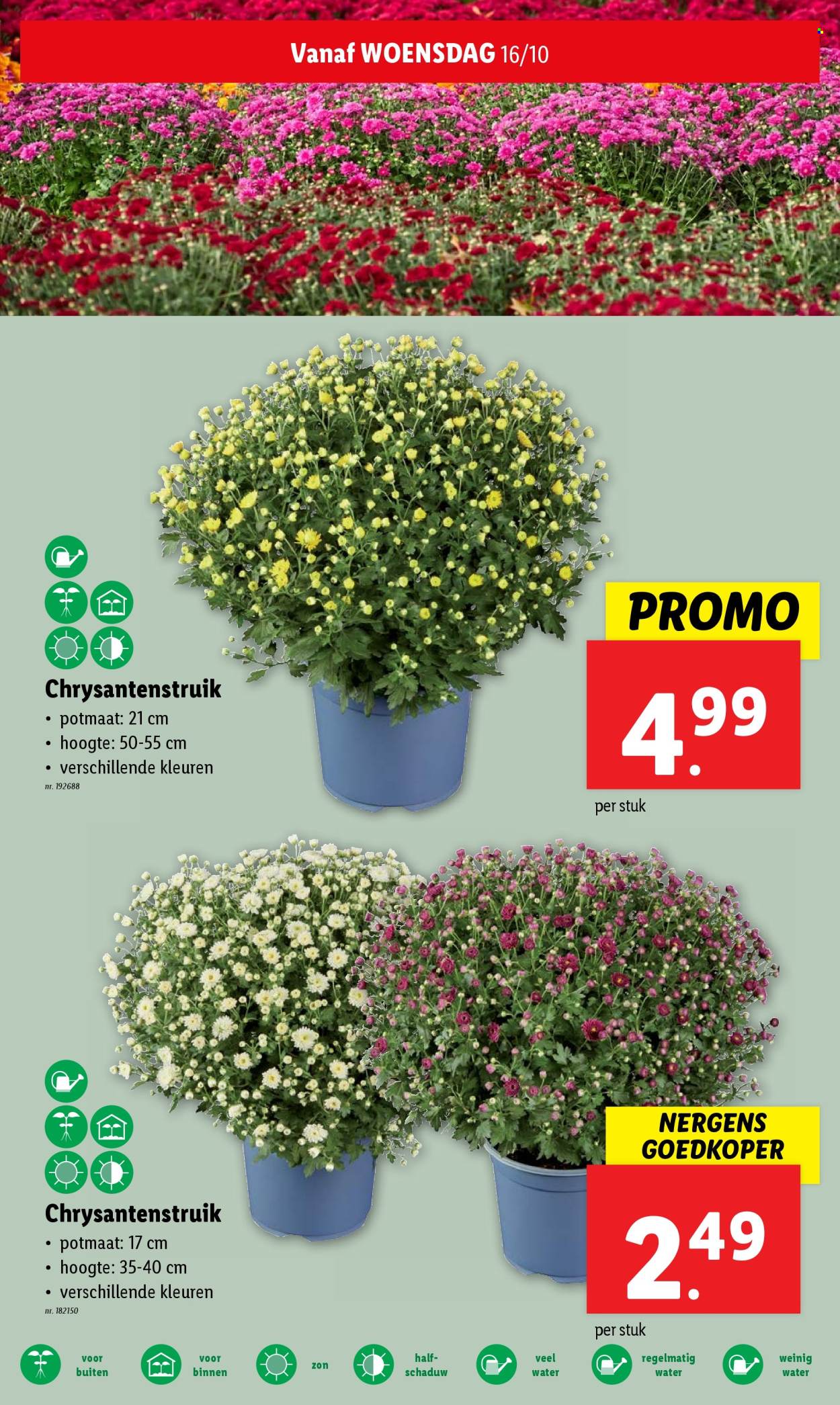 Lidl-aanbieding - 16/10/2024 - 22/10/2024. Pagina 16