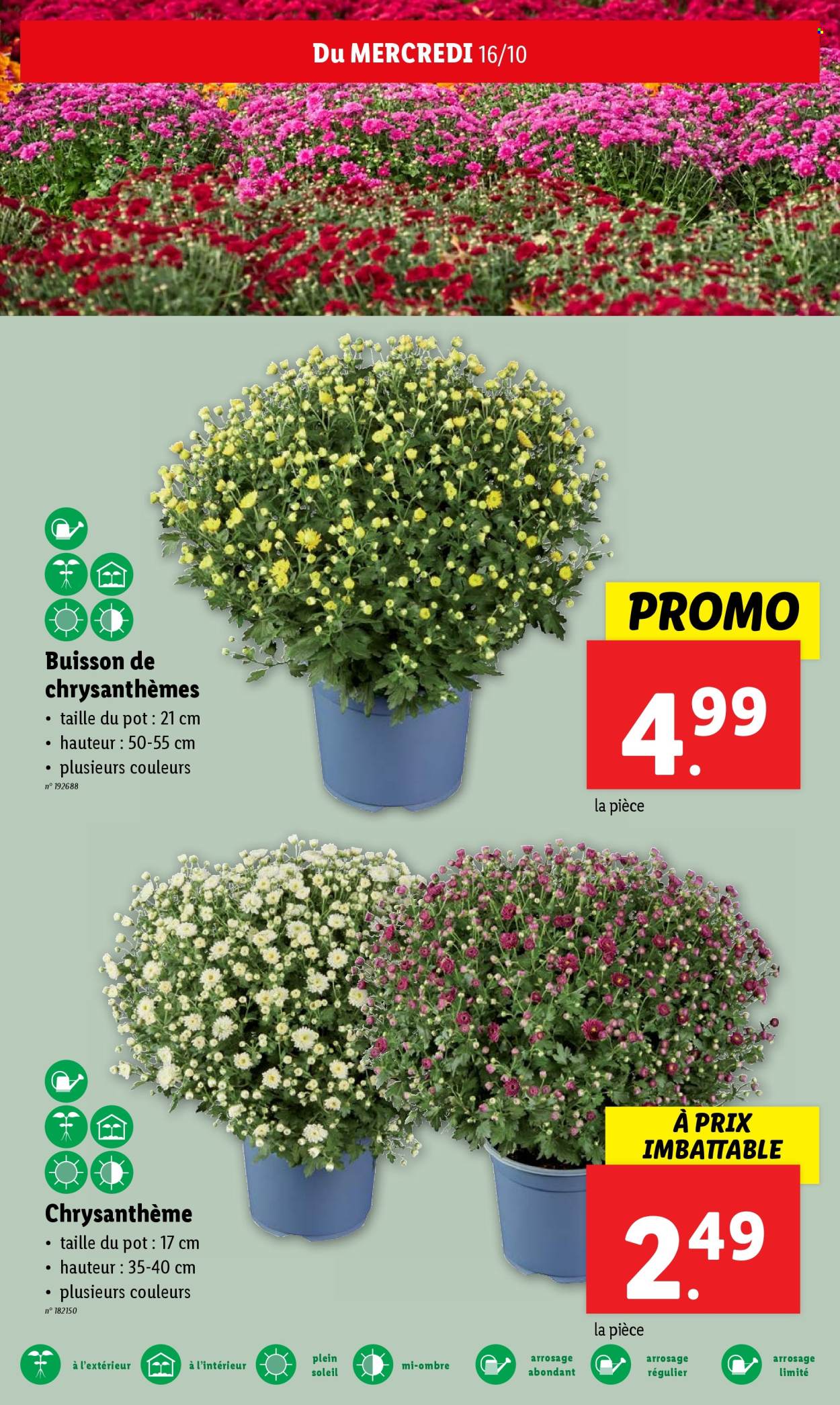 Lidl-aanbieding - 16/10/2024 - 22/10/2024. Pagina 16