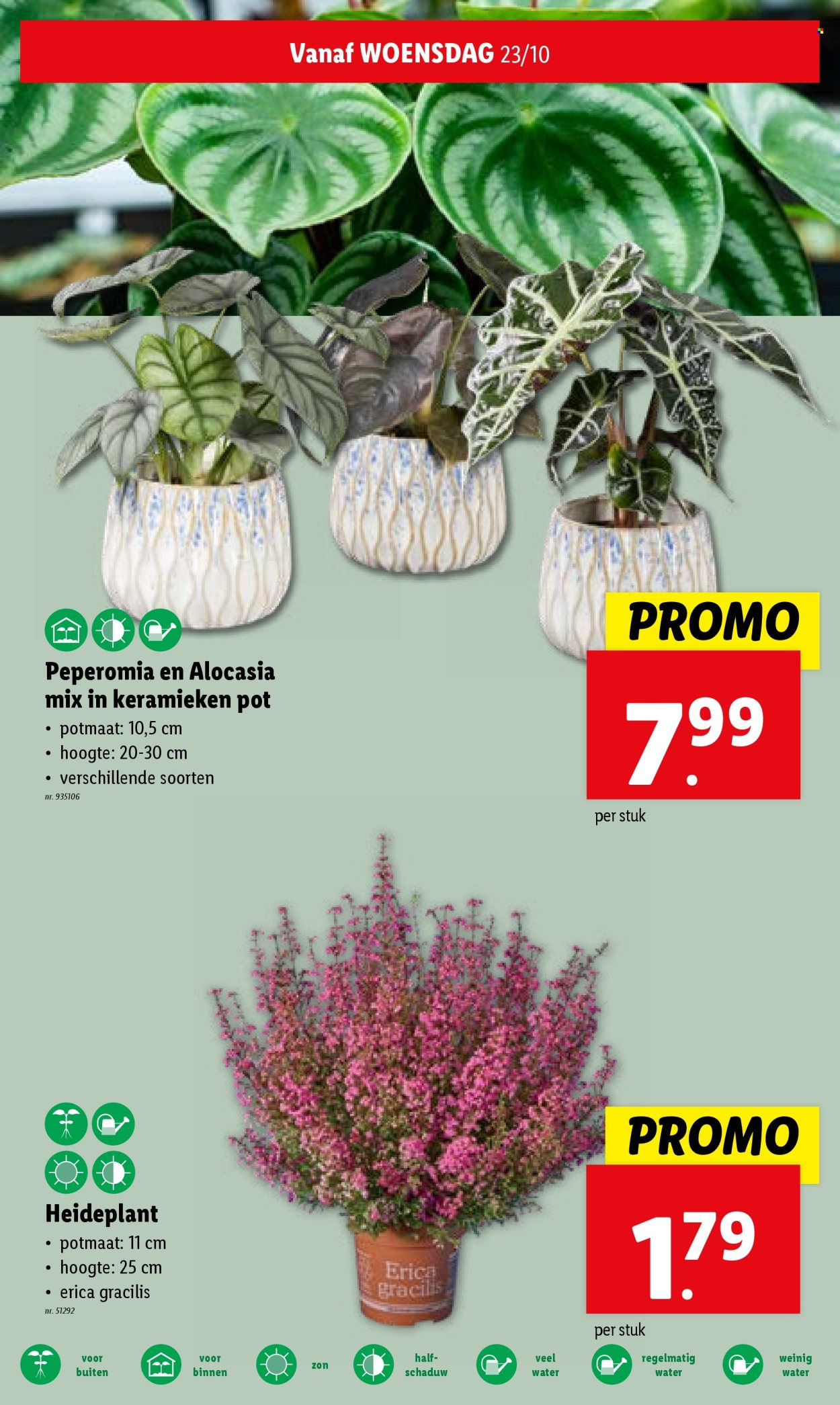 Lidl-aanbieding - 23/10/2024 - 29/10/2024. Pagina 26