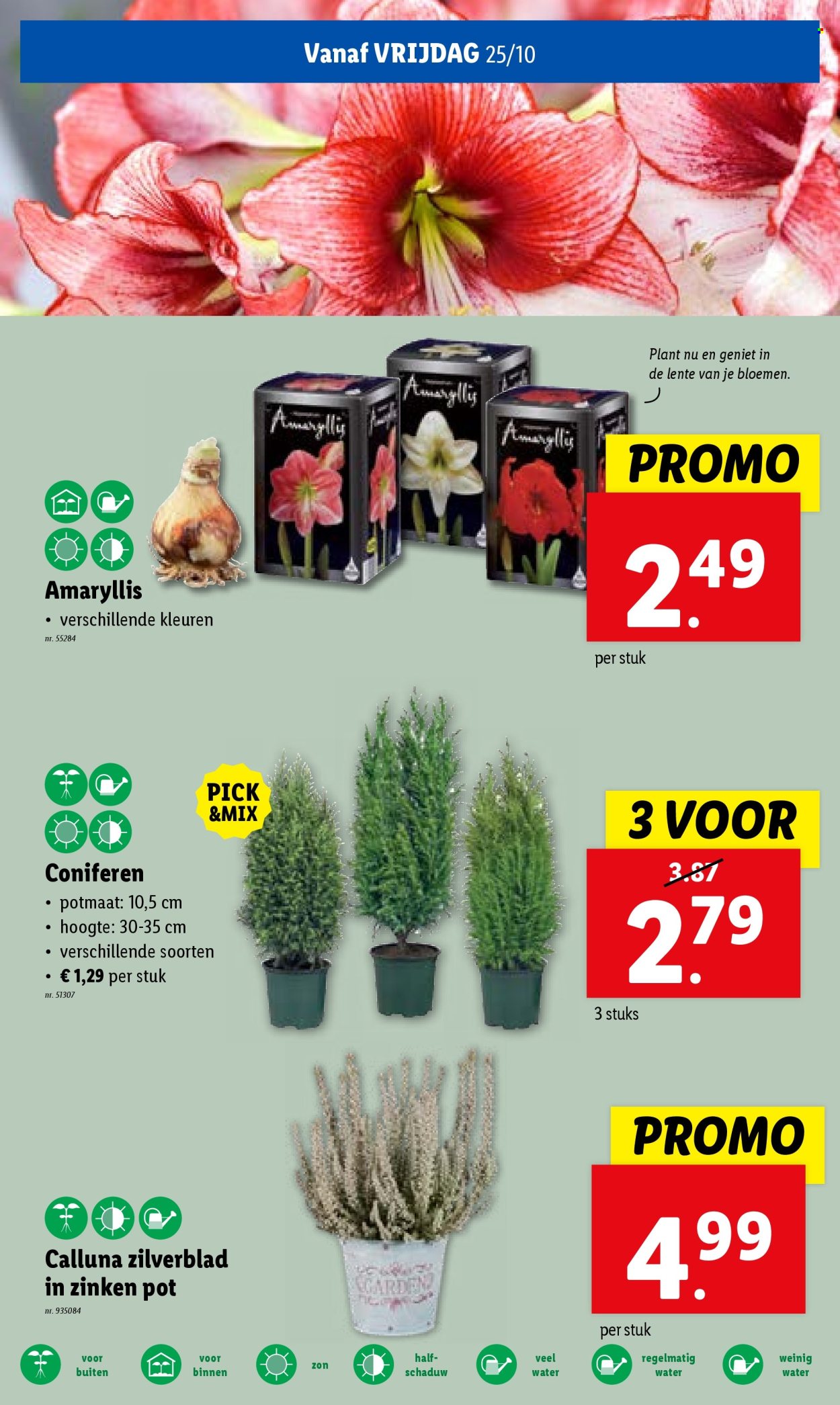 Lidl-aanbieding - 23/10/2024 - 29/10/2024. Pagina 27