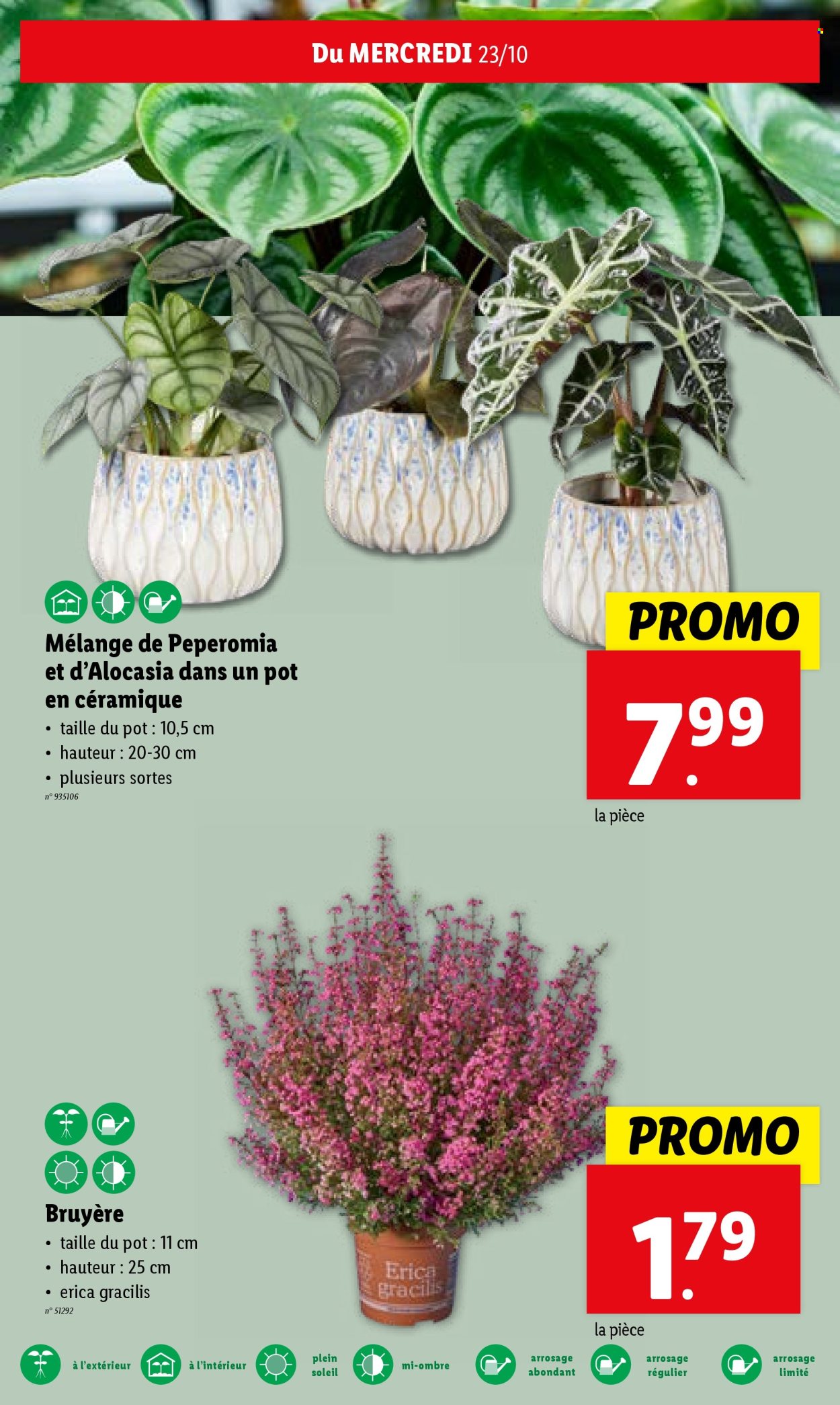 Lidl-aanbieding - 23/10/2024 - 29/10/2024. Pagina 26