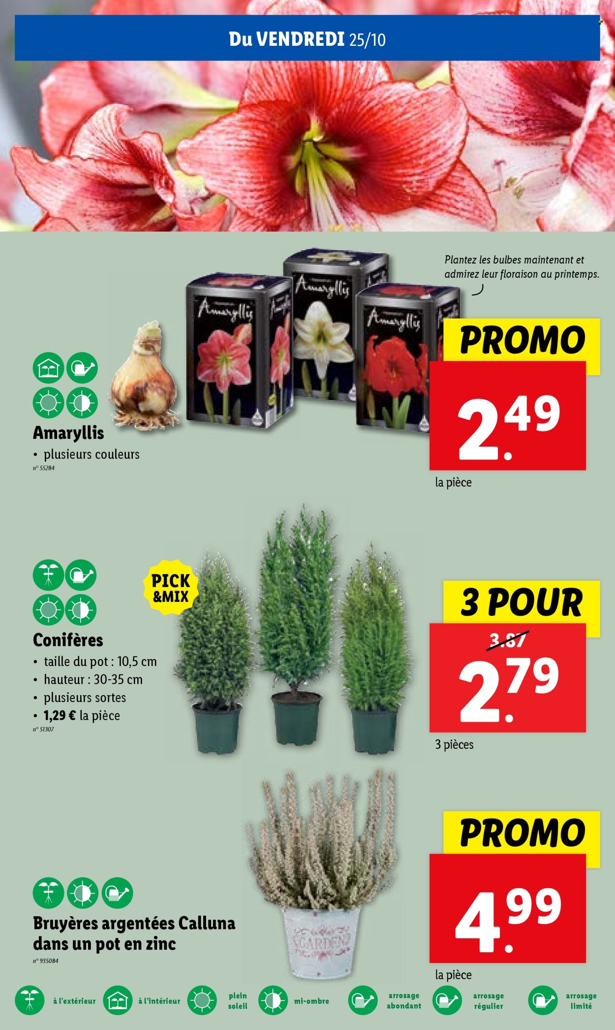 Lidl-aanbieding - 23/10/2024 - 29/10/2024. Pagina 27