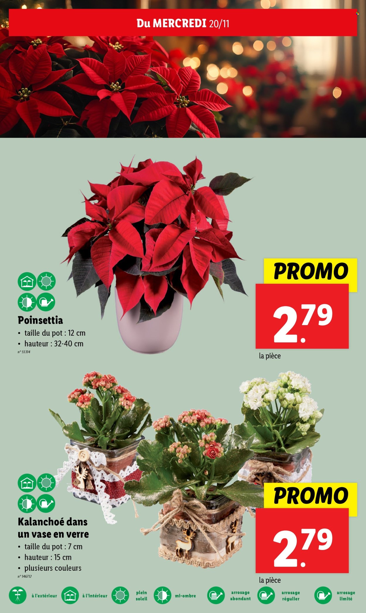 Lidl-aanbieding - 20/11/2024 - 26/11/2024. Pagina 1