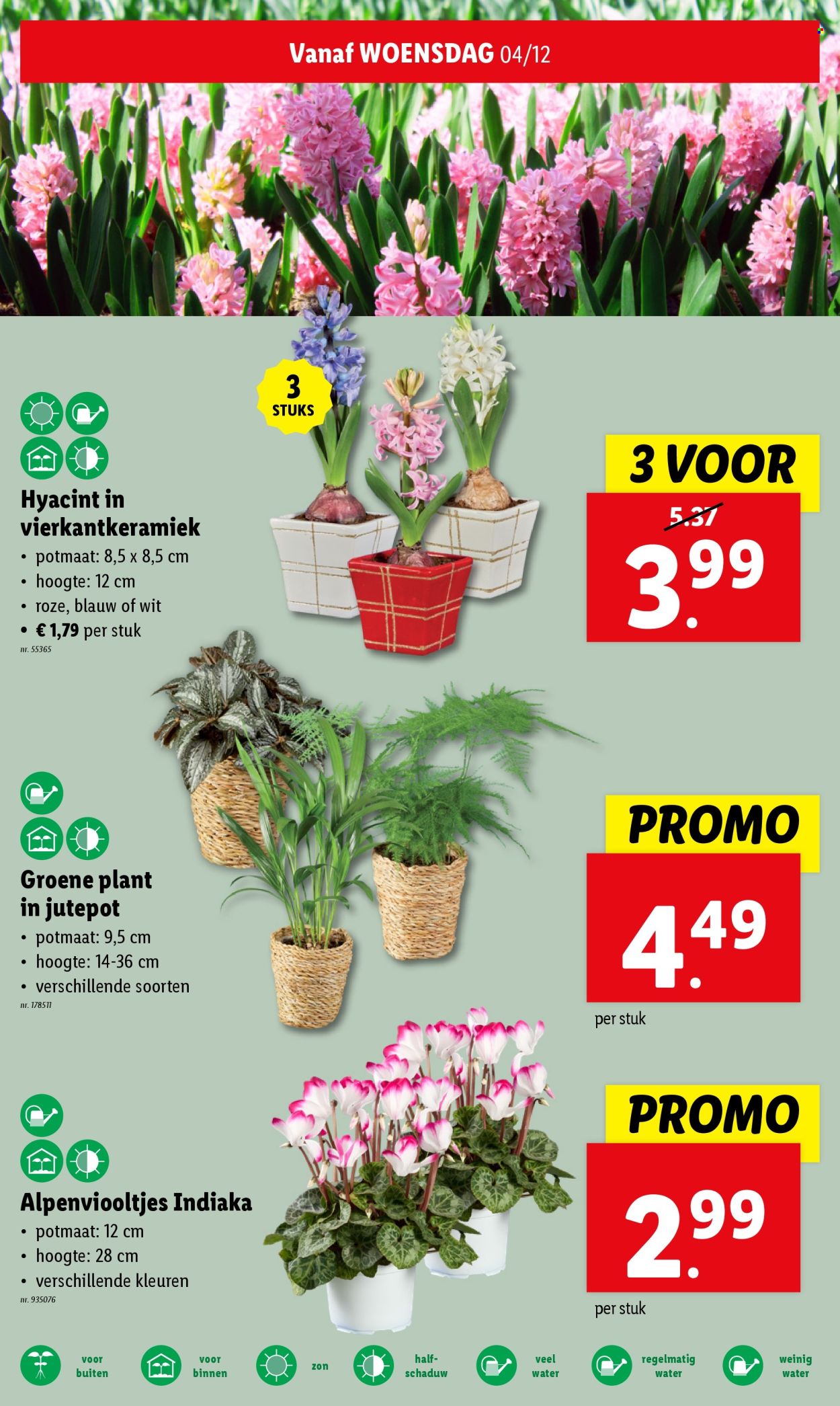 Lidl-aanbieding - 04/12/2024 - 10/12/2024. Pagina 1