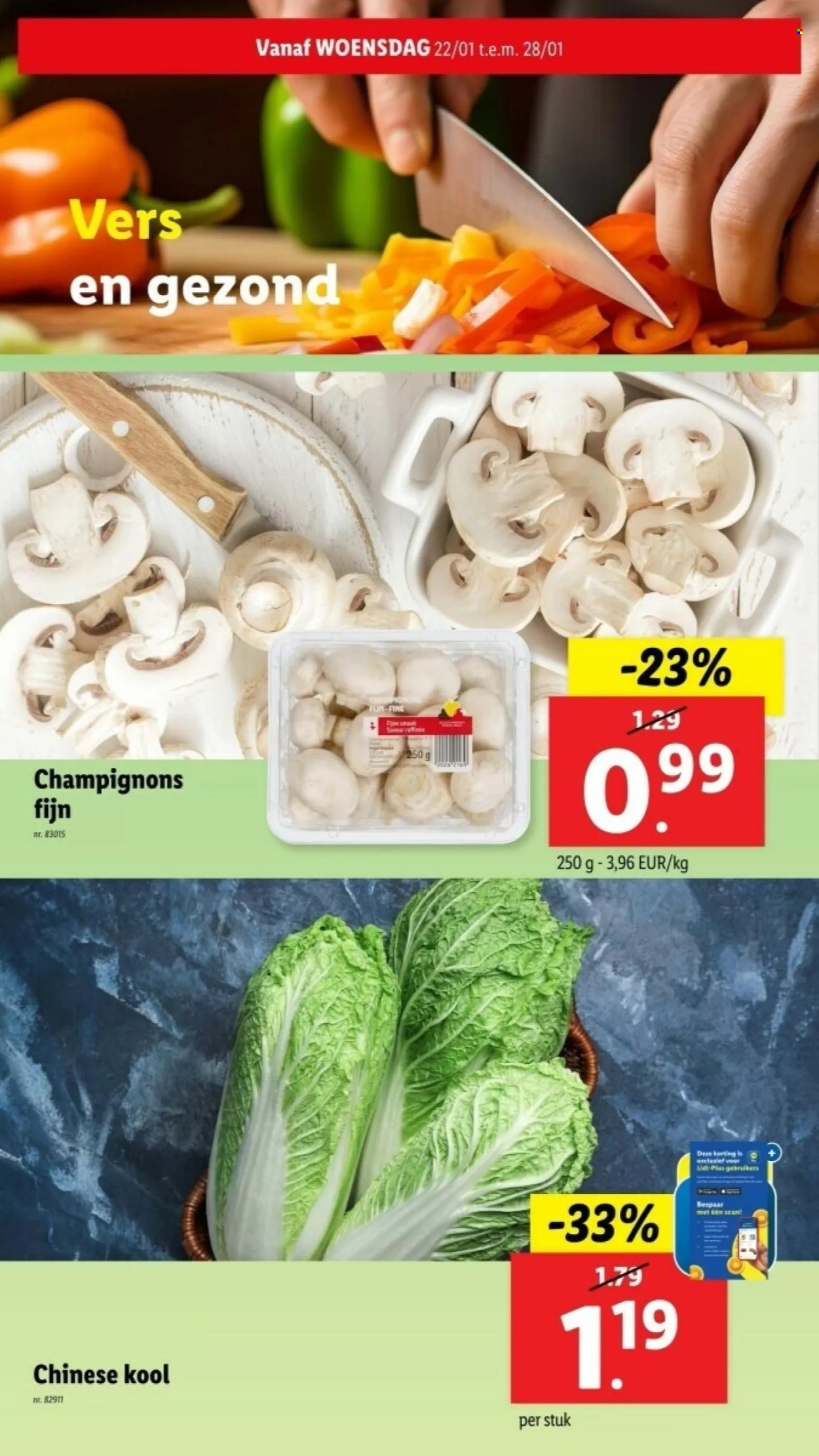 Lidl-aanbieding - 22/01/2025 - 28/01/2025. Pagina 1