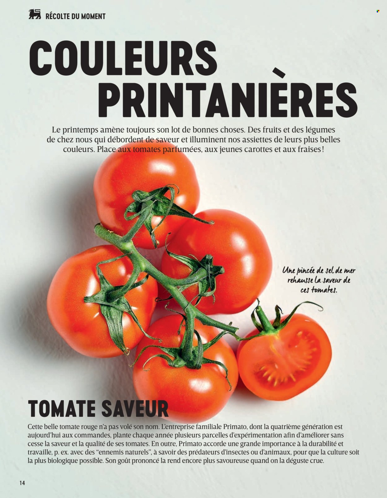 Delhaize-aanbieding. Pagina 1