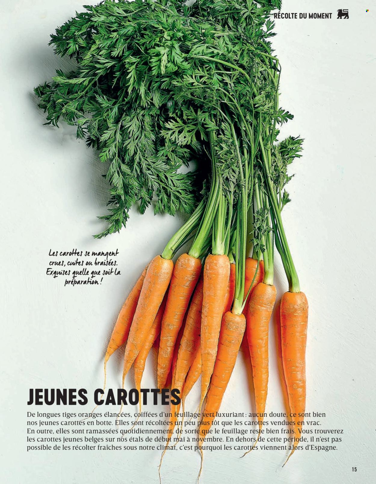 Delhaize-aanbieding. Pagina 1