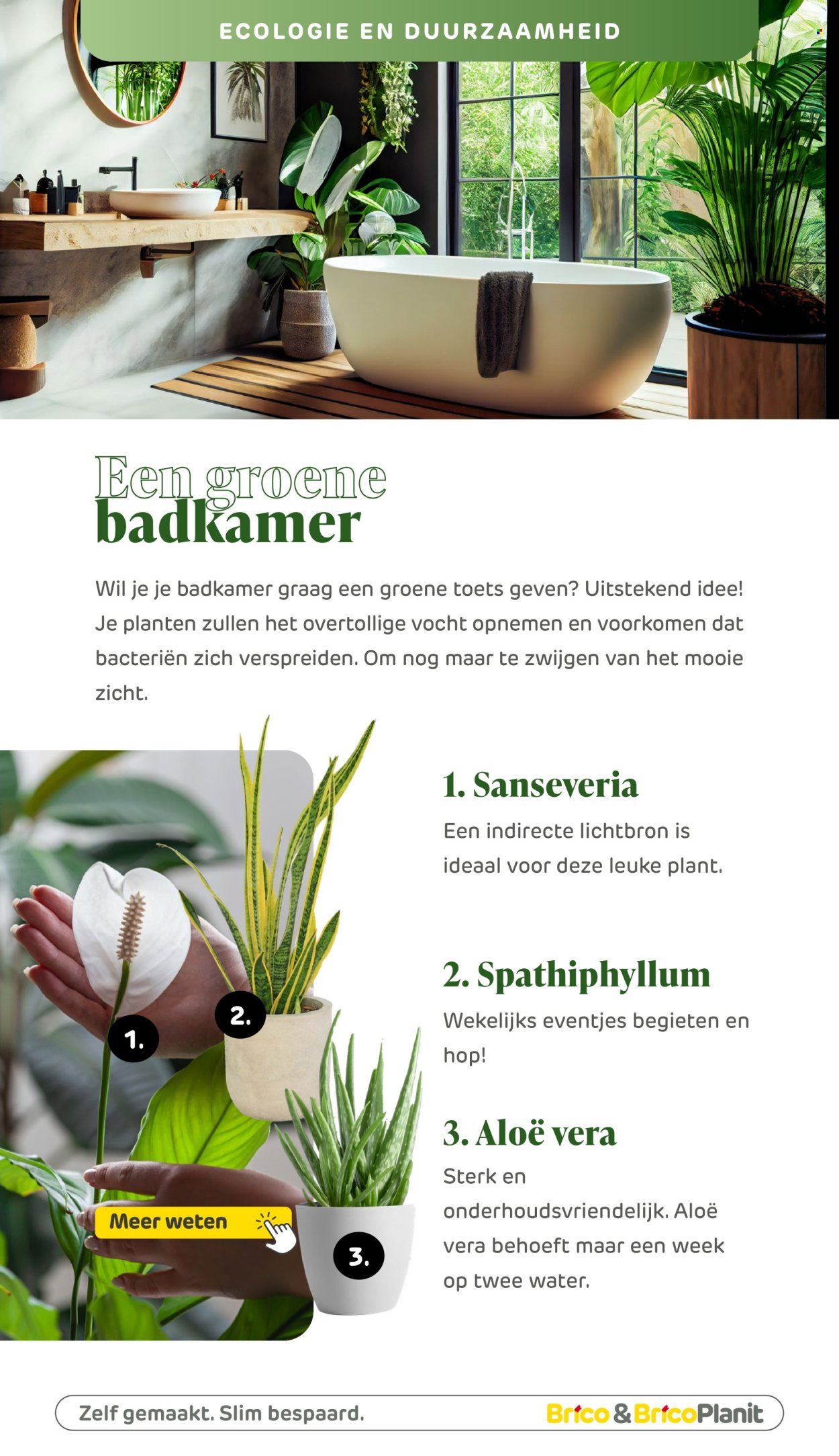 Brico-aanbieding. Pagina 1