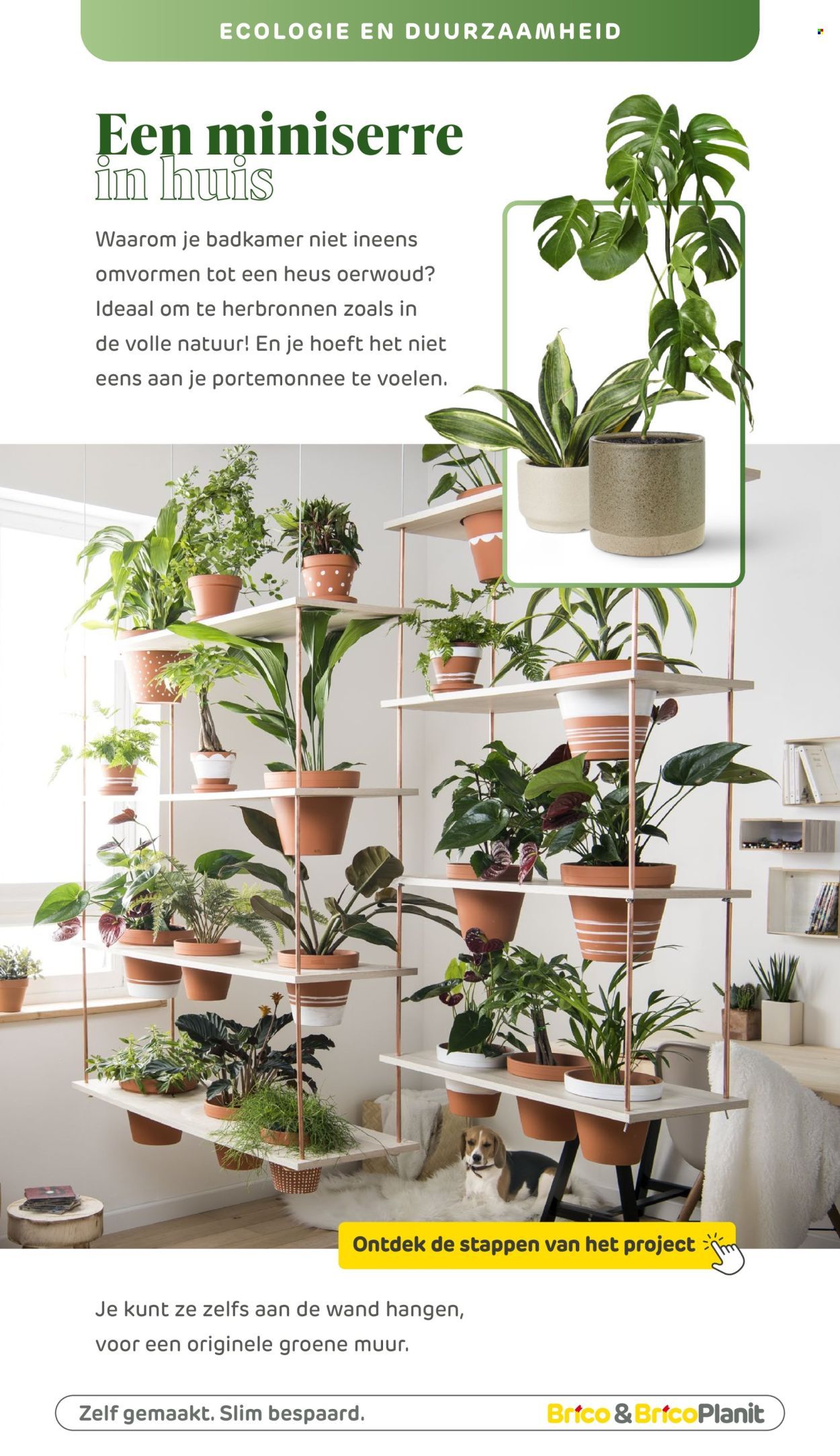 Brico-aanbieding. Pagina 1