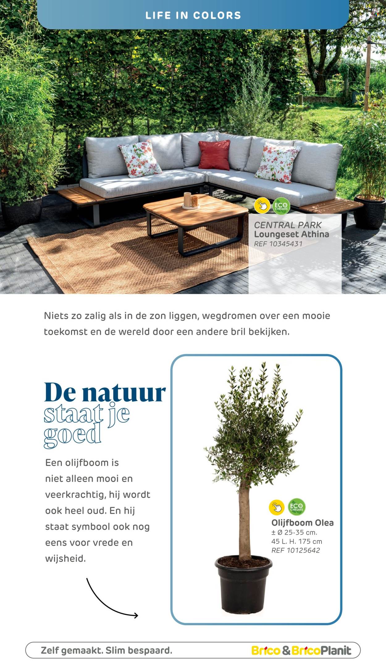 Brico-aanbieding. Pagina 1