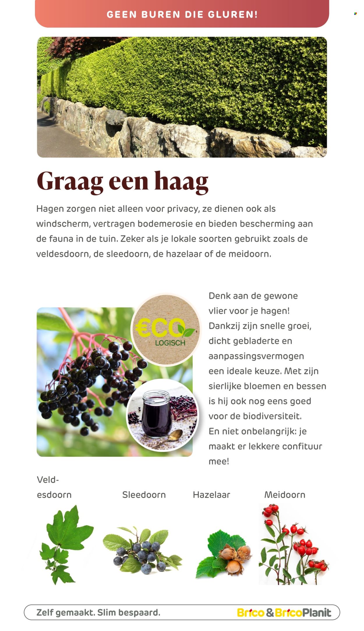 Brico-aanbieding. Pagina 1