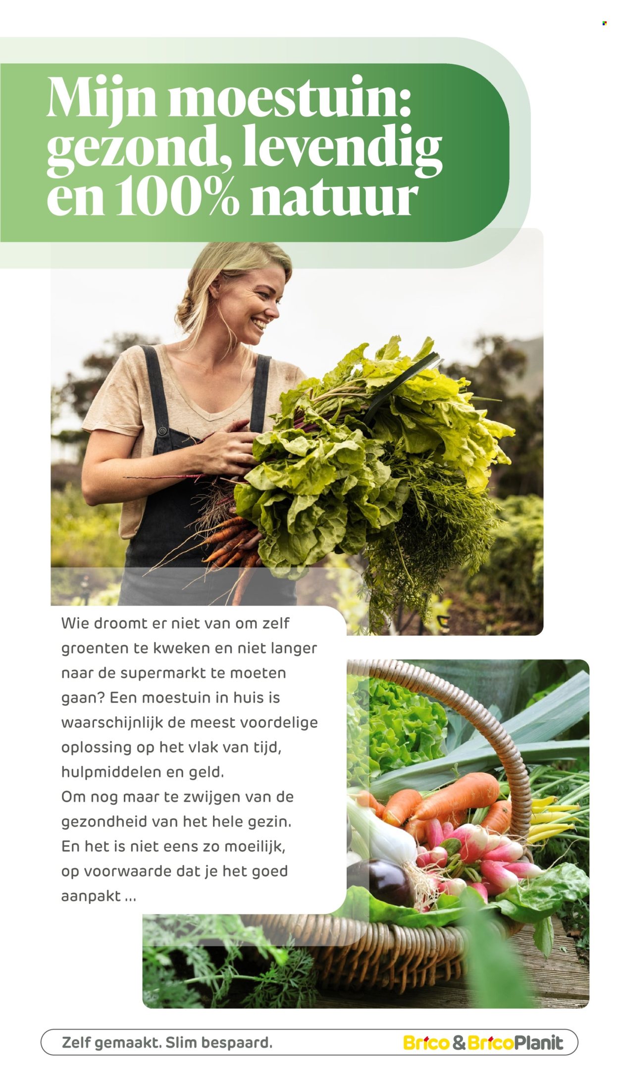 Brico-aanbieding. Pagina 1