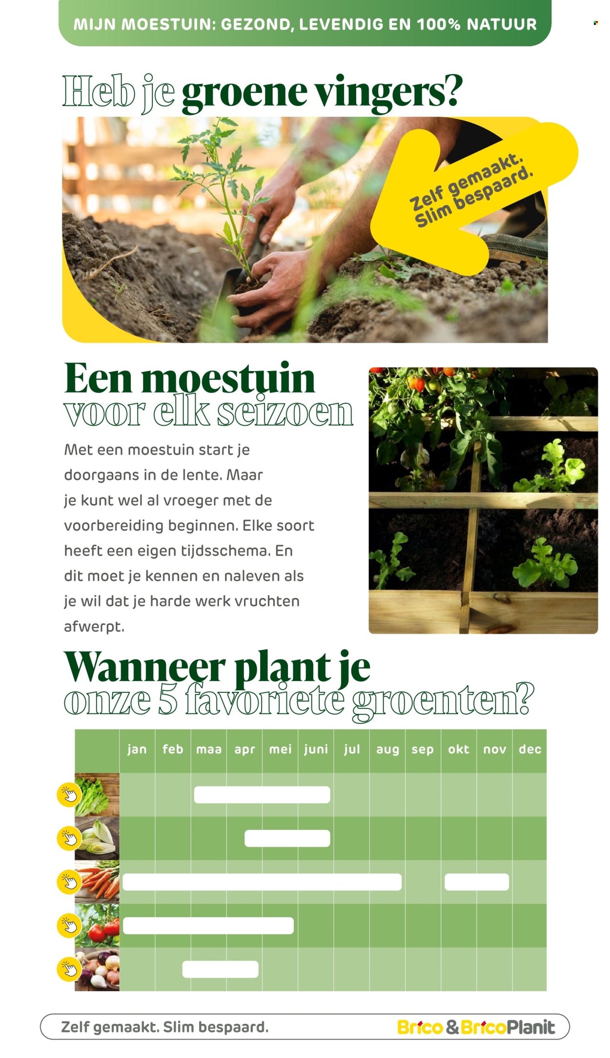Brico-aanbieding. Pagina 1