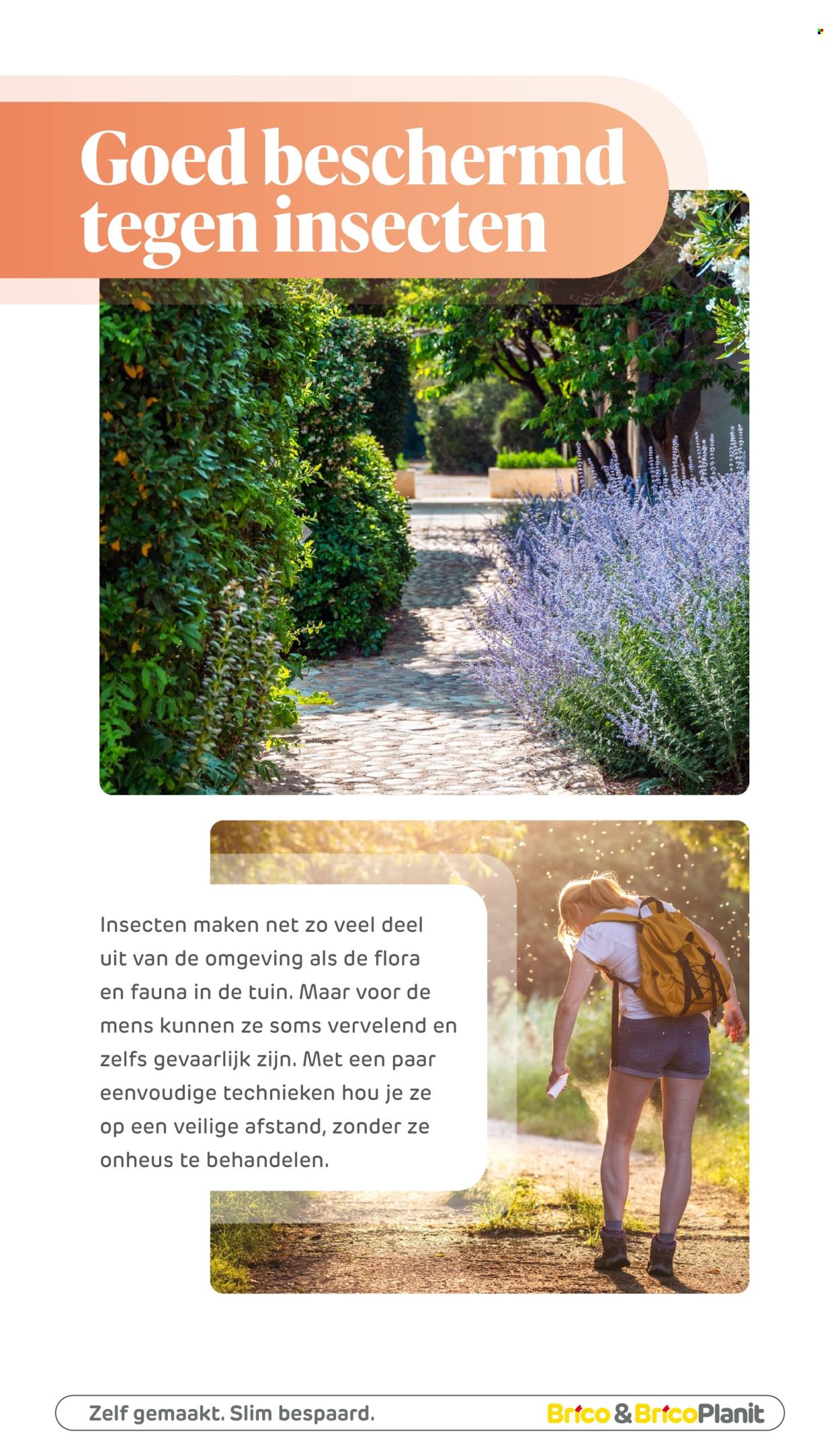 Brico-aanbieding. Pagina 1