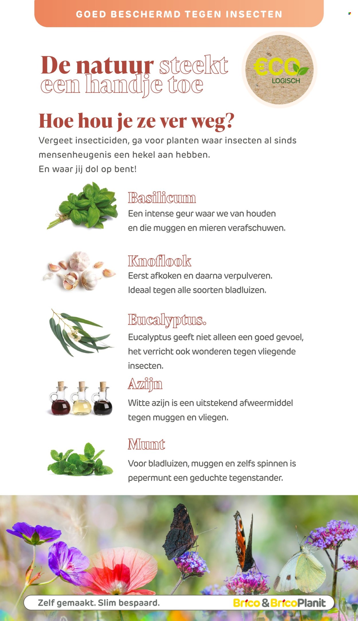 Brico-aanbieding. Pagina 1