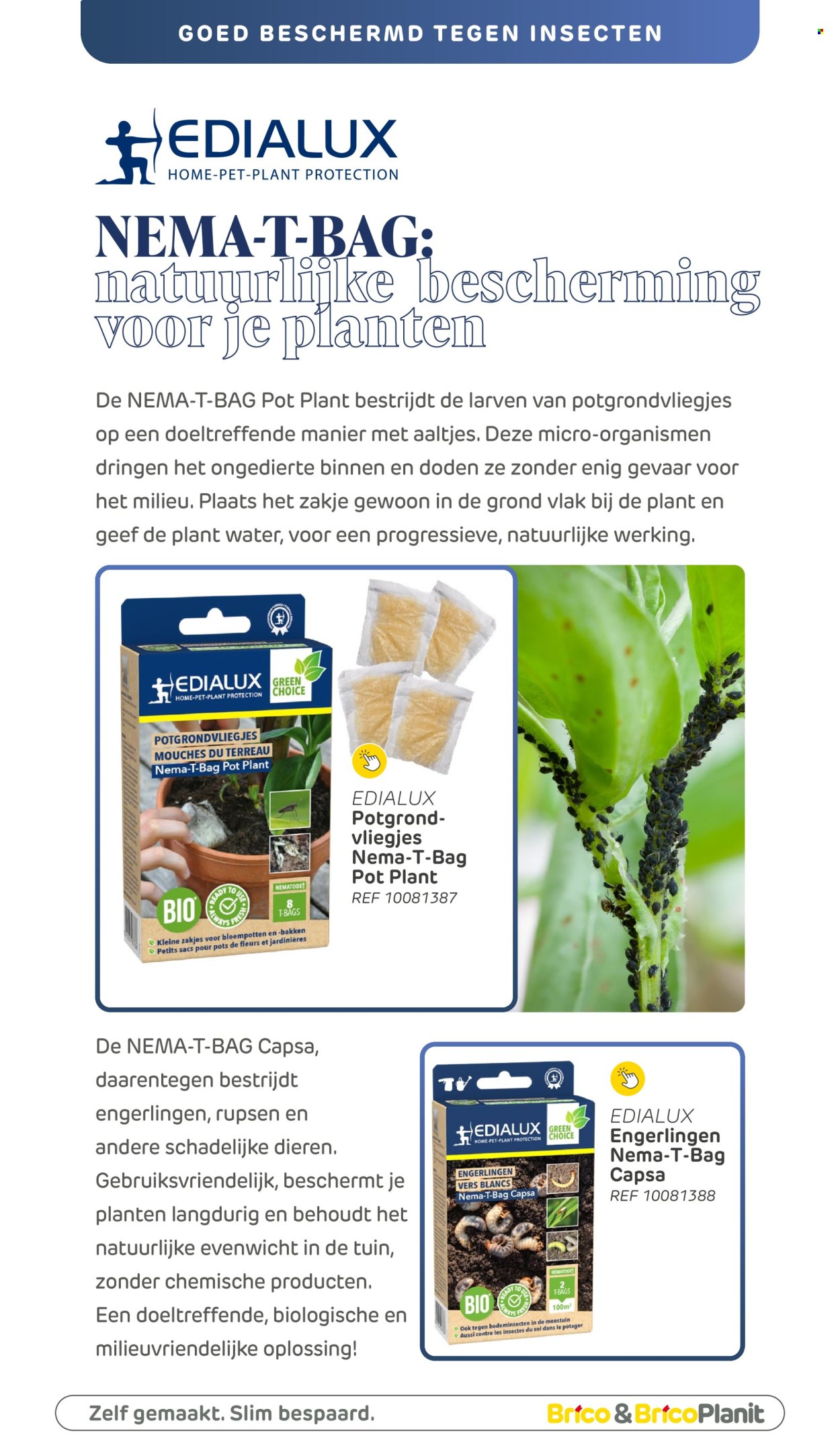 Brico-aanbieding. Pagina 1