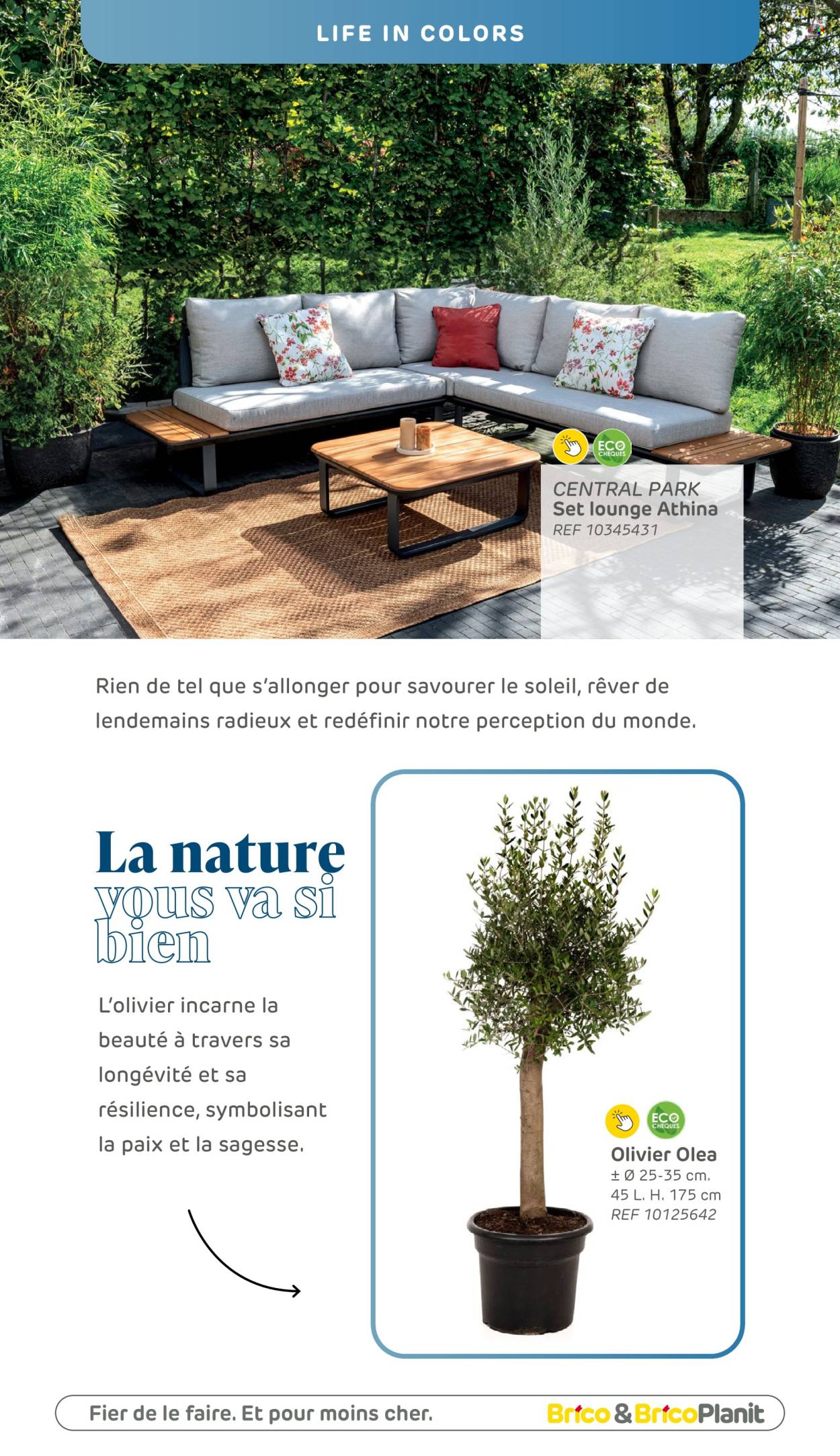 Brico-aanbieding. Pagina 1