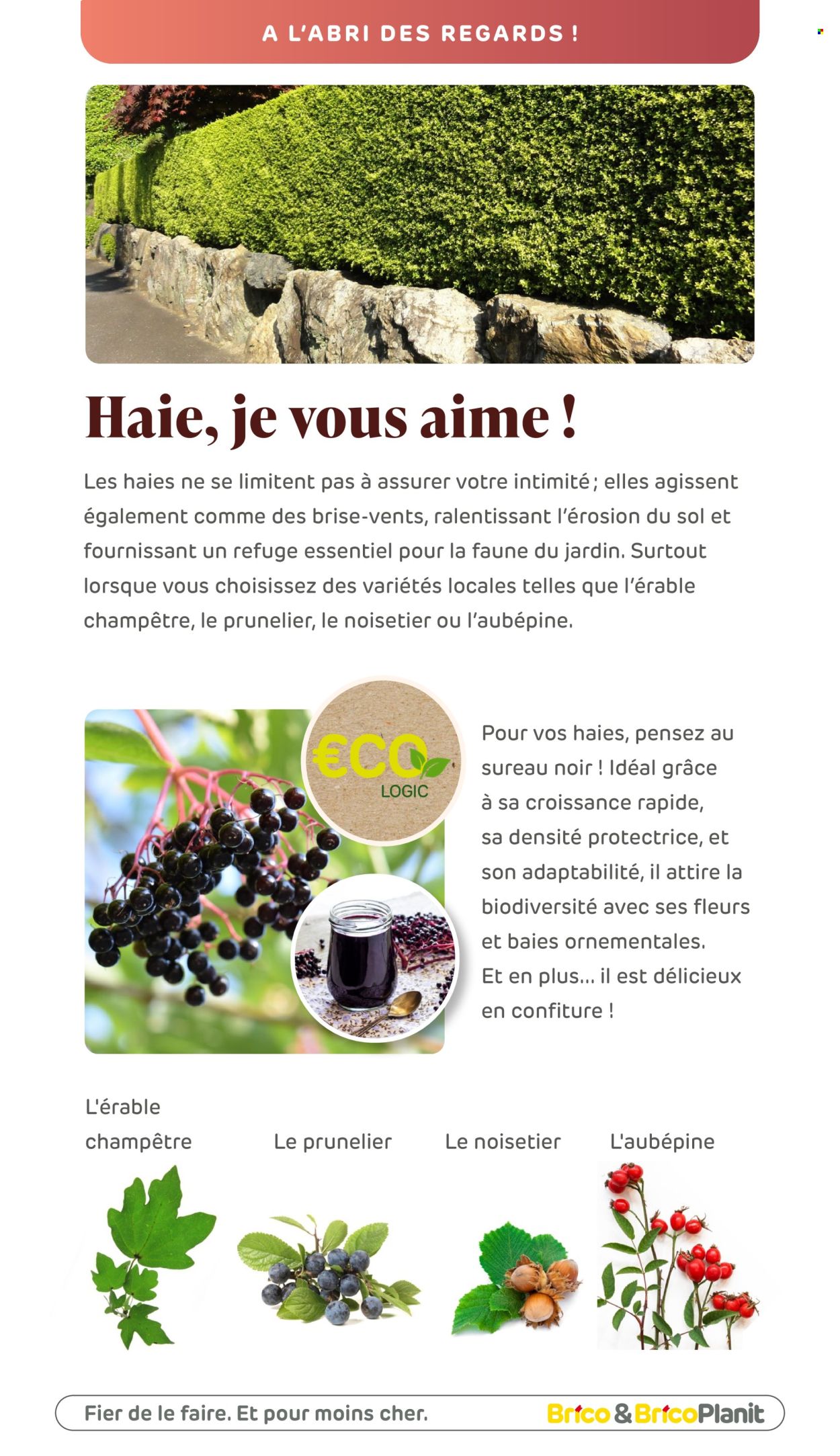 Brico-aanbieding. Pagina 1