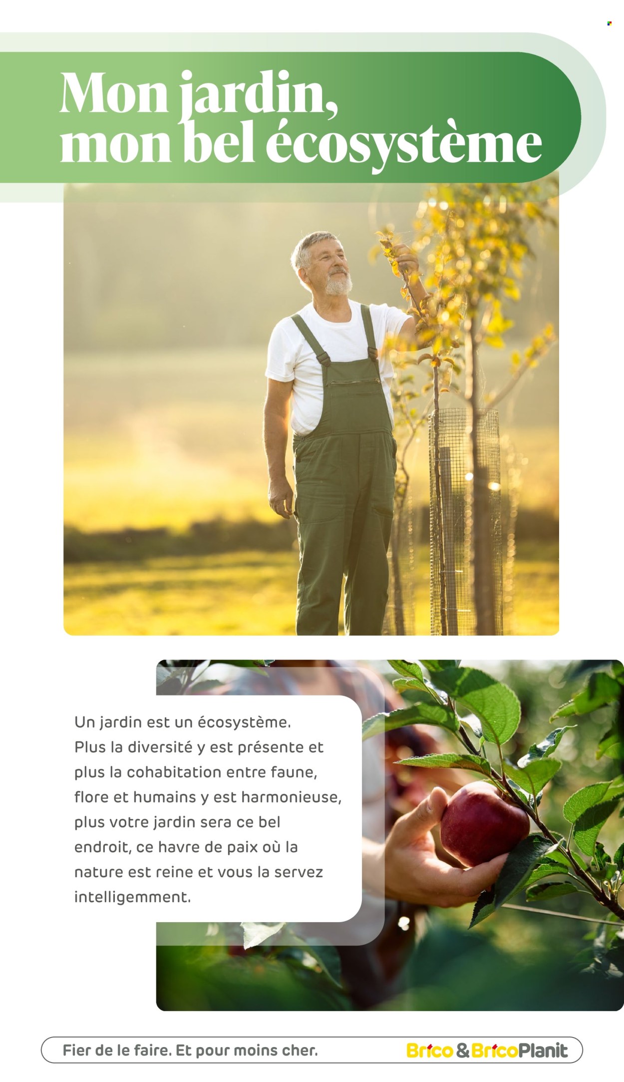 Brico-aanbieding. Pagina 1