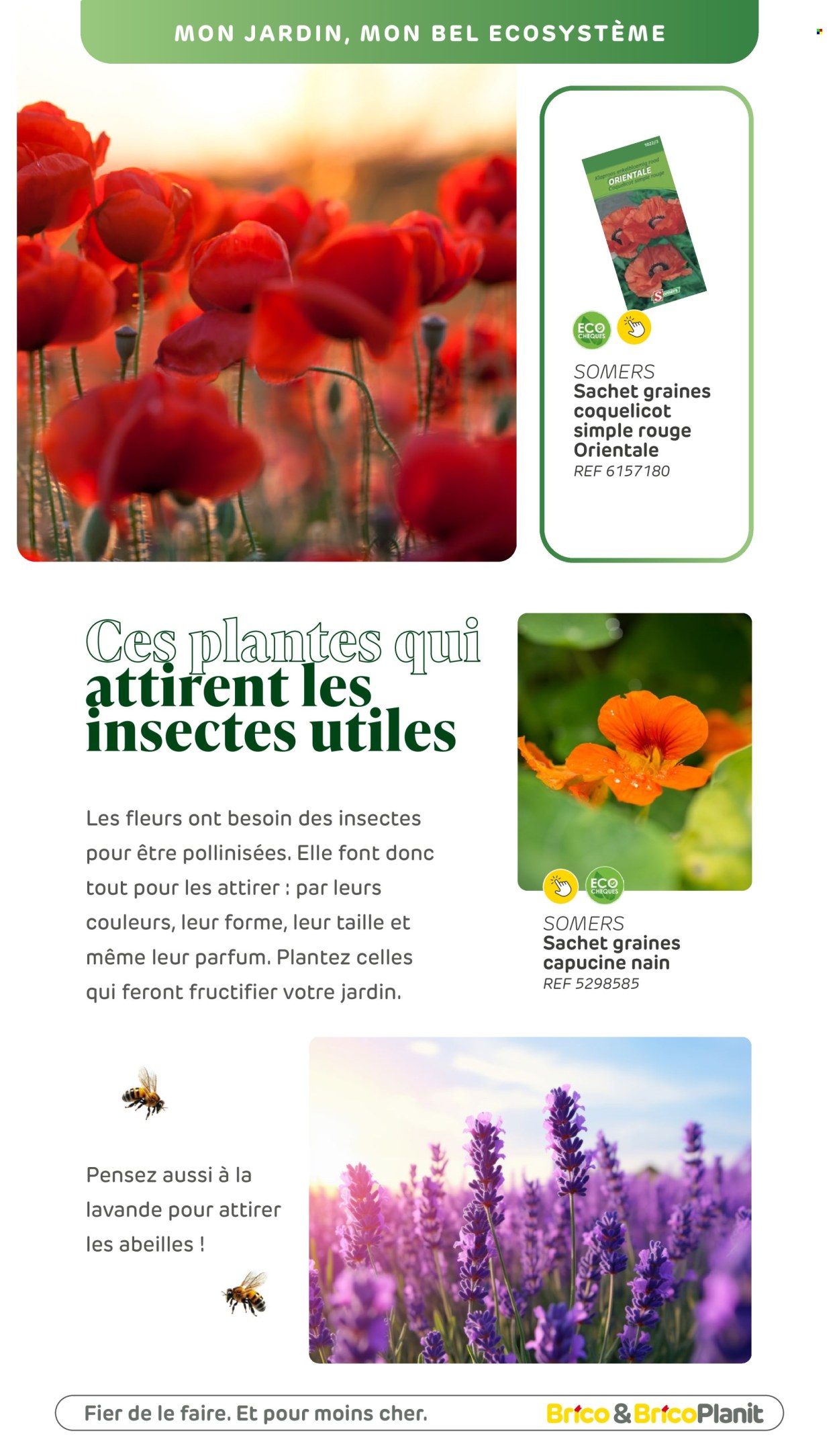 Brico-aanbieding. Pagina 1