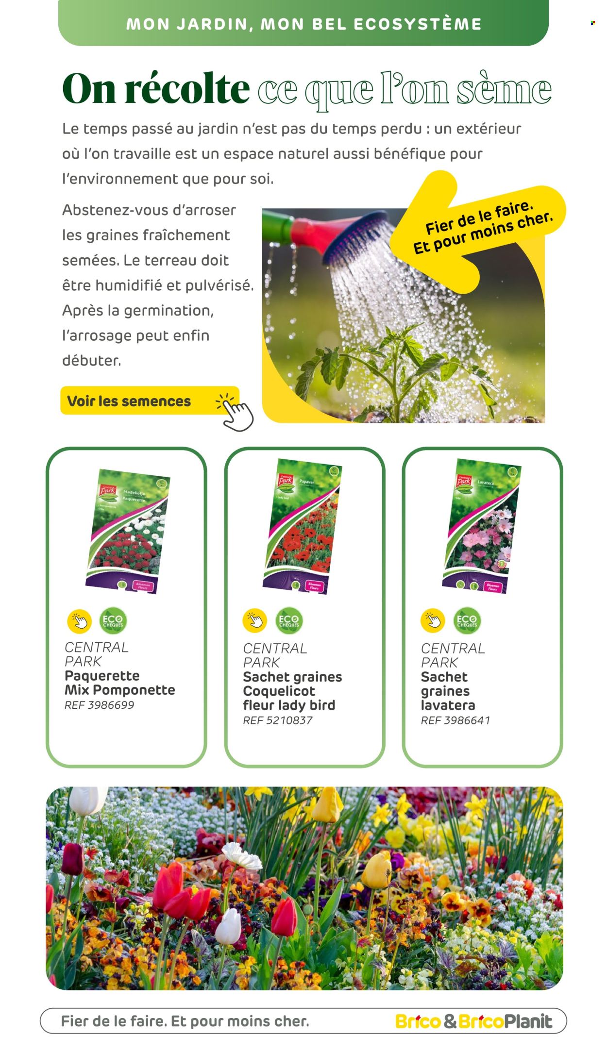 Brico-aanbieding. Pagina 1