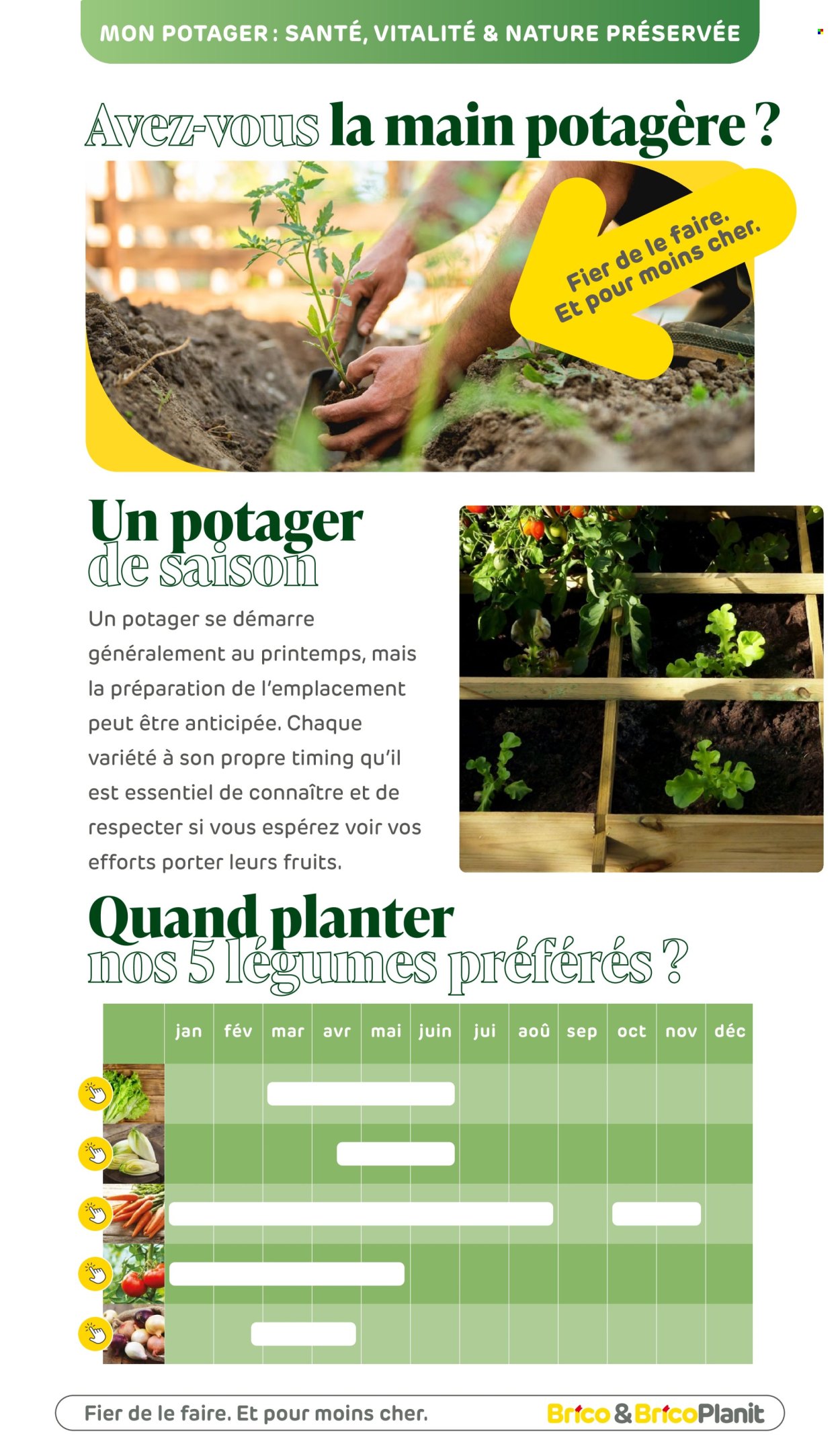 Brico-aanbieding. Pagina 1