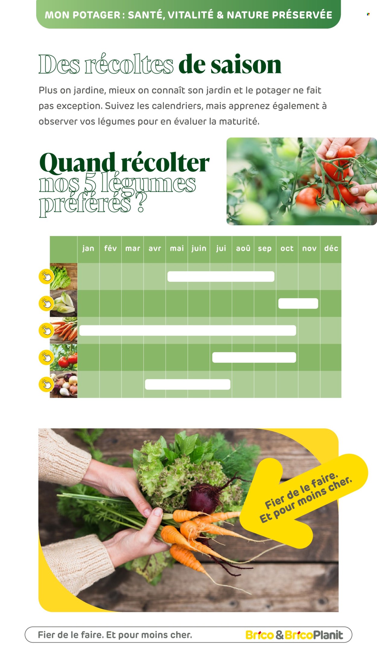 Brico-aanbieding. Pagina 1