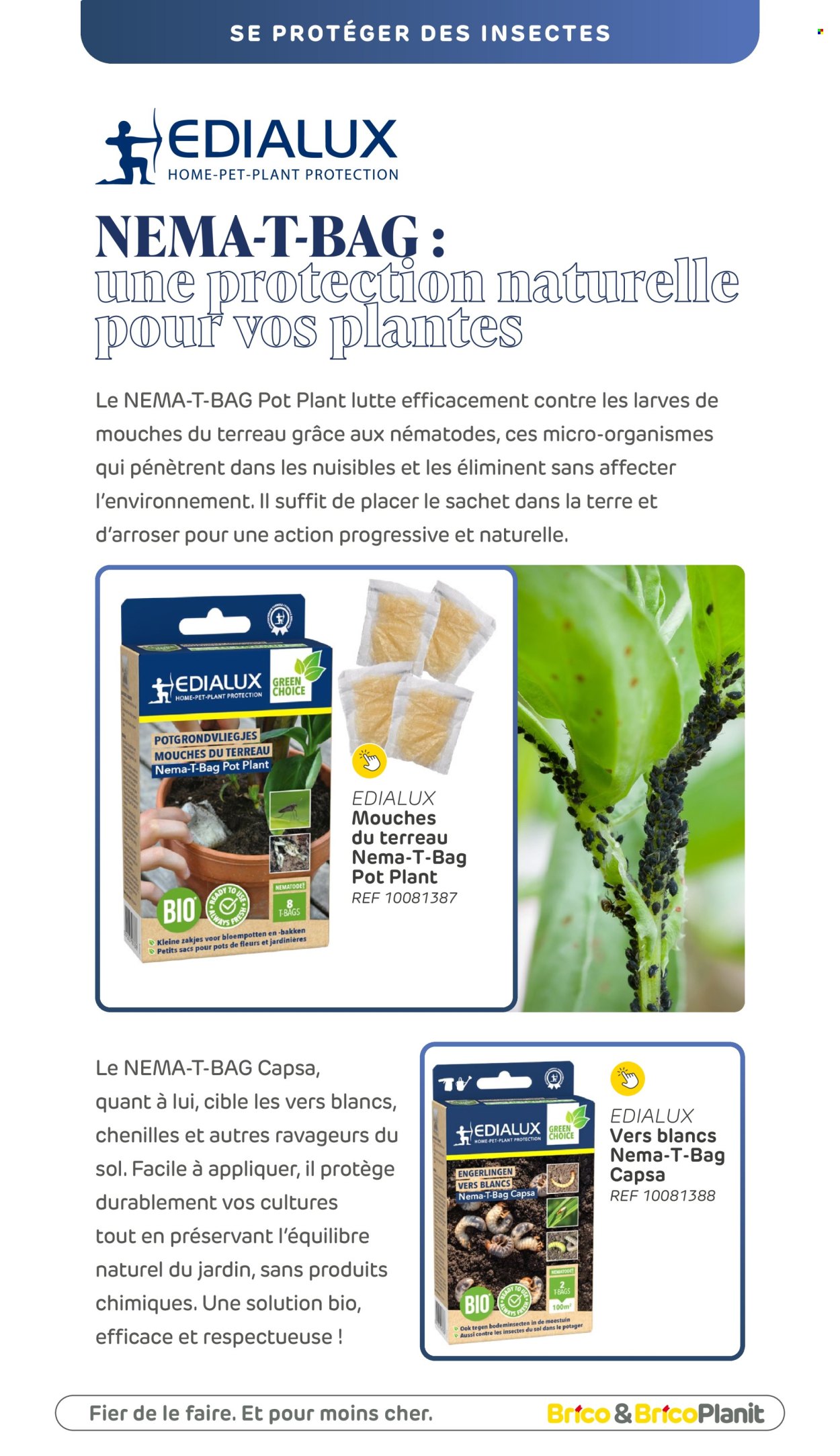 Brico-aanbieding. Pagina 1