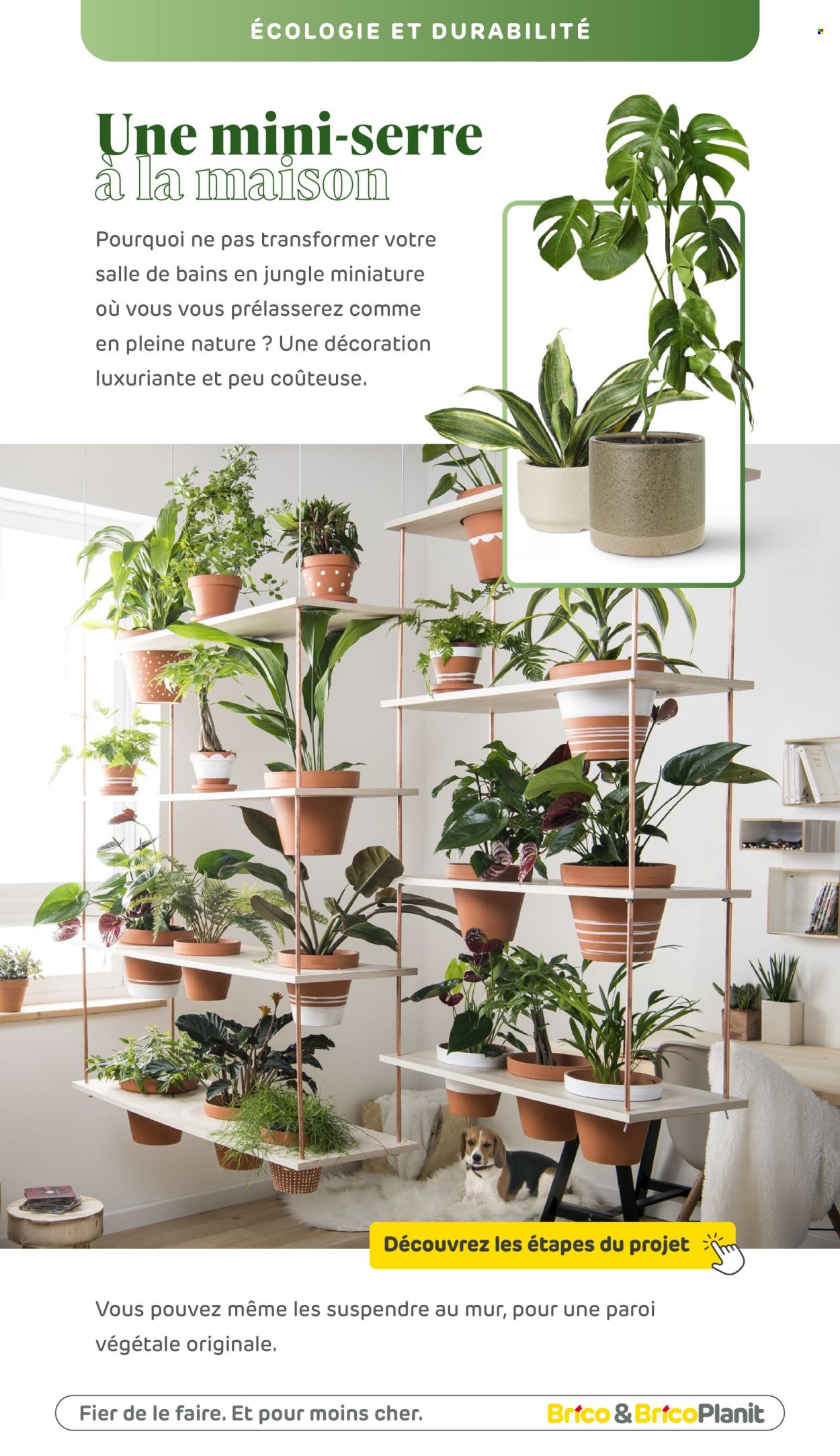 Brico-aanbieding. Pagina 1