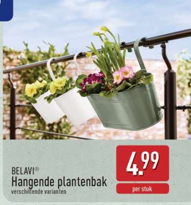 BELAVI Hangende plantenbak