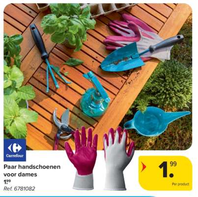 Paar handschoenen voor dames