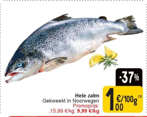 Hele zalm