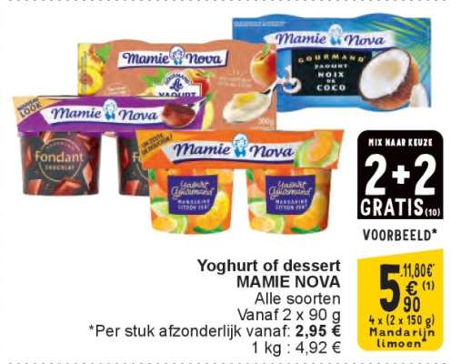 Yoghurt of dessert MAMIE NOVA
