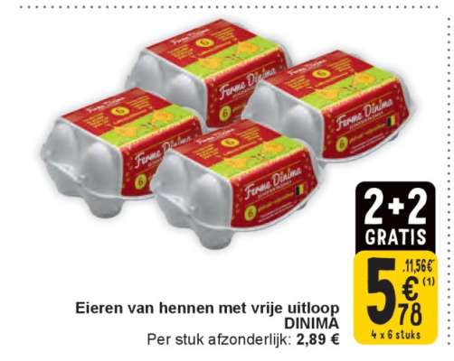 Eieren van hennen met vrije uitloop DINIMA