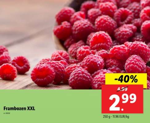 Frambozen XXL
