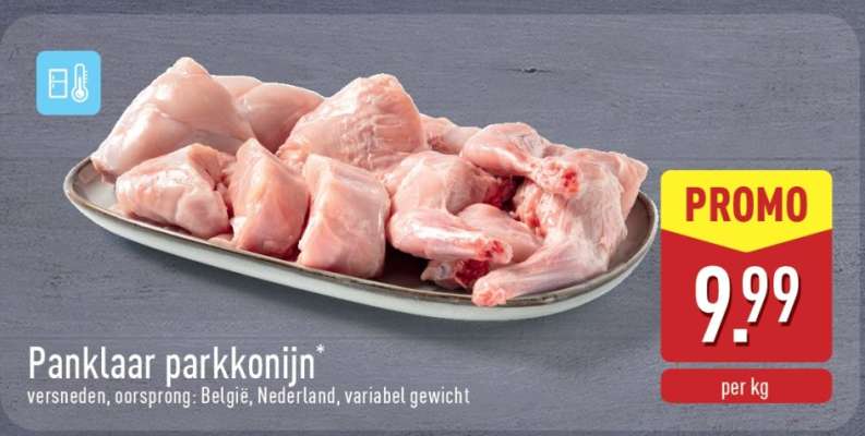 Panklaar parkkonijn