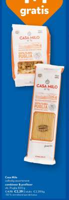 Casa Milo