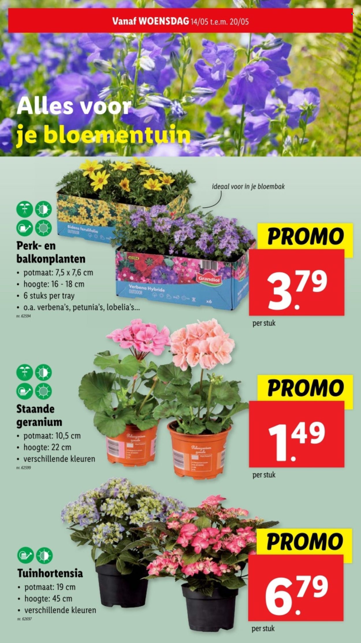 Lidl-aanbieding - 14/05/2025 - 20/05/2025. Pagina 1