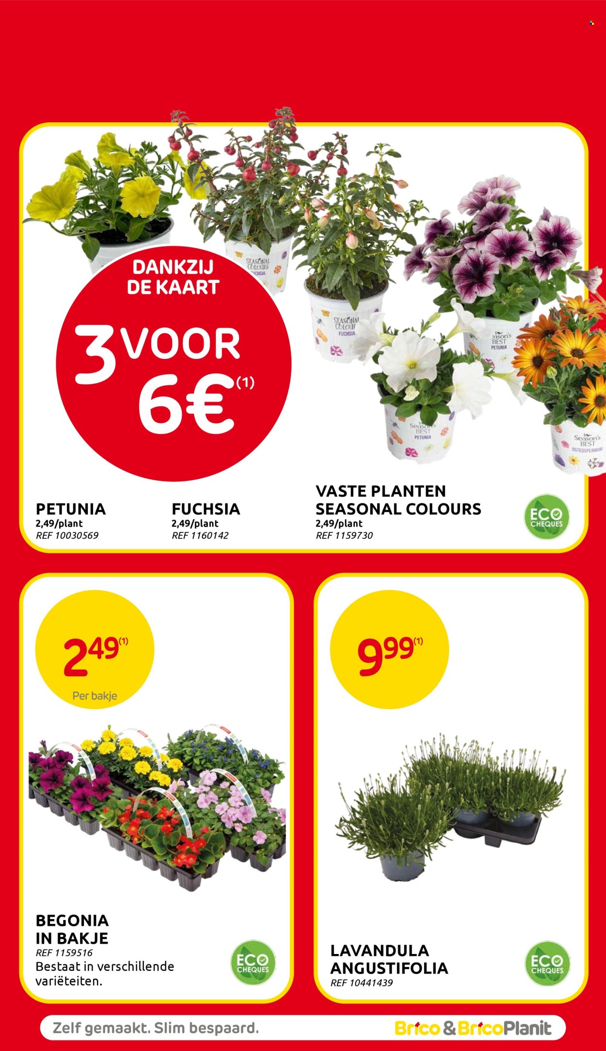 Brico-aanbieding - 14/05/2025 - 26/05/2025. Pagina 1